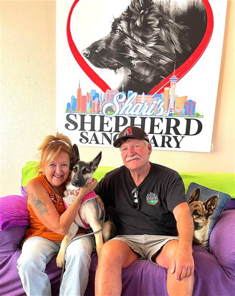 shari's shepherd sanctuary